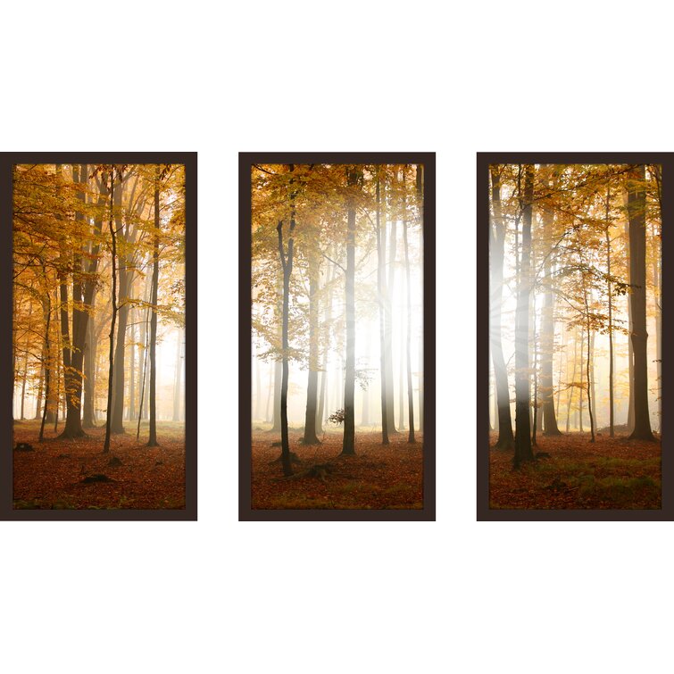 PicturePerfectInternational Fall Framed On Plastic / Acrylic 3 Pieces ...