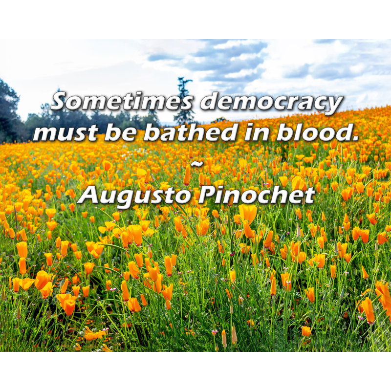 «Artsy Quote» par Augusto Pinochet, toile tendue avec châssis, H 17 po x l 24 po