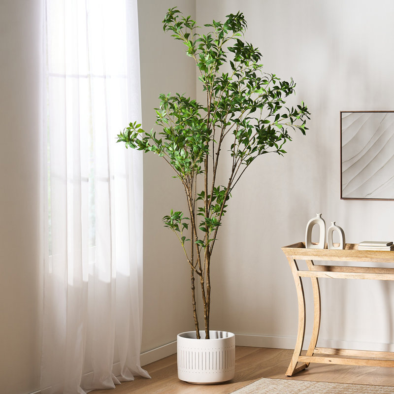 240CMARTIFICIAL PIERIS TREE, 94.5" H x 47" W x 47" D