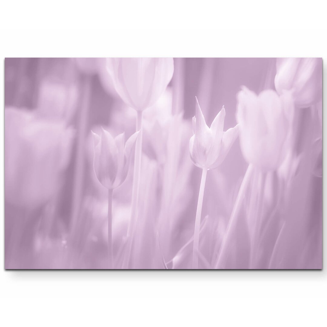 Leinwandbild Rosa gefärbtes Tulpen Bild