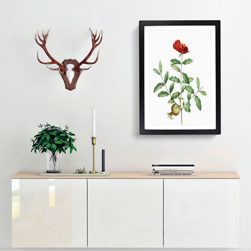 Pomegranate Tree Branch by Pierre-Joseph Redoute - Picture Frame Painting Print, 48cm H x 36cm W x 2cm D, Black Framed
