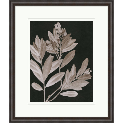 Taupe Foliage 5 Print