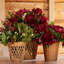 Wicker Table Vase