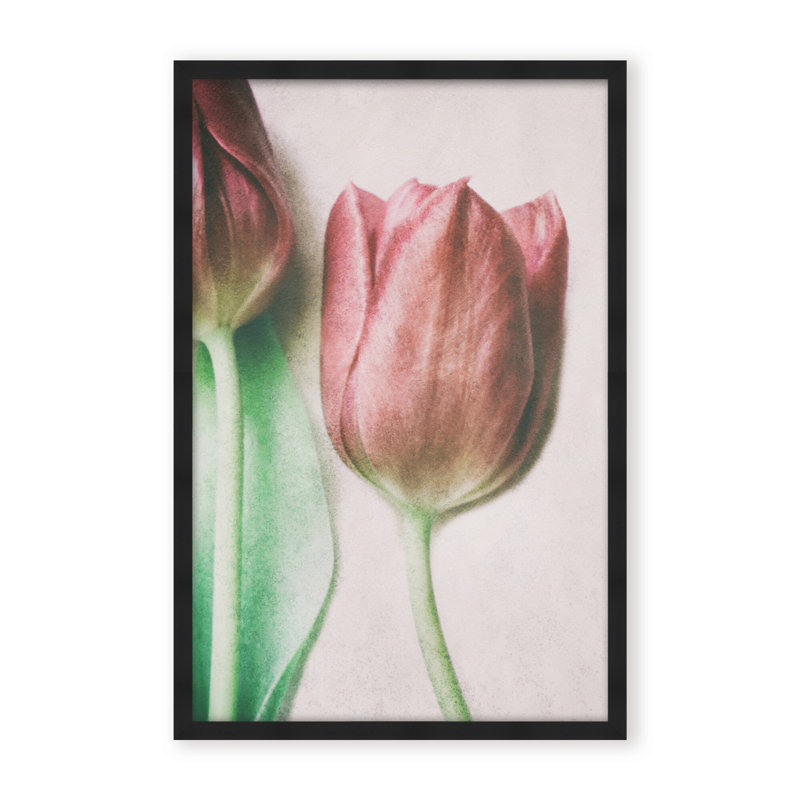 Nature Inspired The Spring Lovers by  - Picture Frame Graphic Art on Paper, 24" H x 16" W x 1.125" D, Framed Matted Print