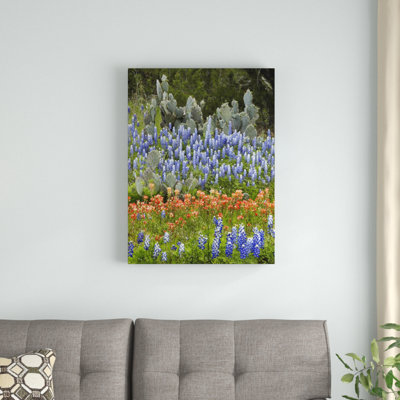 " Bluebonnet And Pricky Pear Cactus, Texas " by Tim Fitzharris
