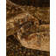 Tapis beige / brun Apex-20346259