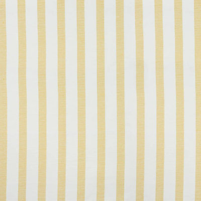 Tissu à rayures Ketley Performance