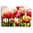 " Tulips " Print-378351185