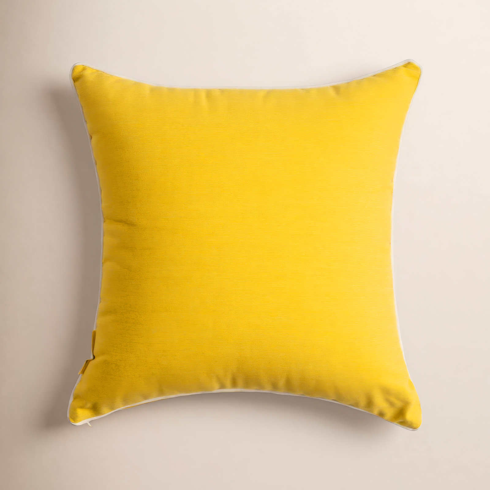 Rivie Indoor/Outdoor Throw Pillow, Yellow, 18"H x 18"W