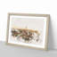 Skyline of Prague - Picture Frame Graphic Art Print-56877718-56877719