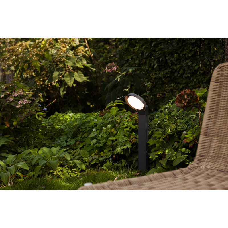 LED path light Arzell