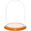 Cloche à dôme en verre 5,5 "x 8" Vucciria-719684333