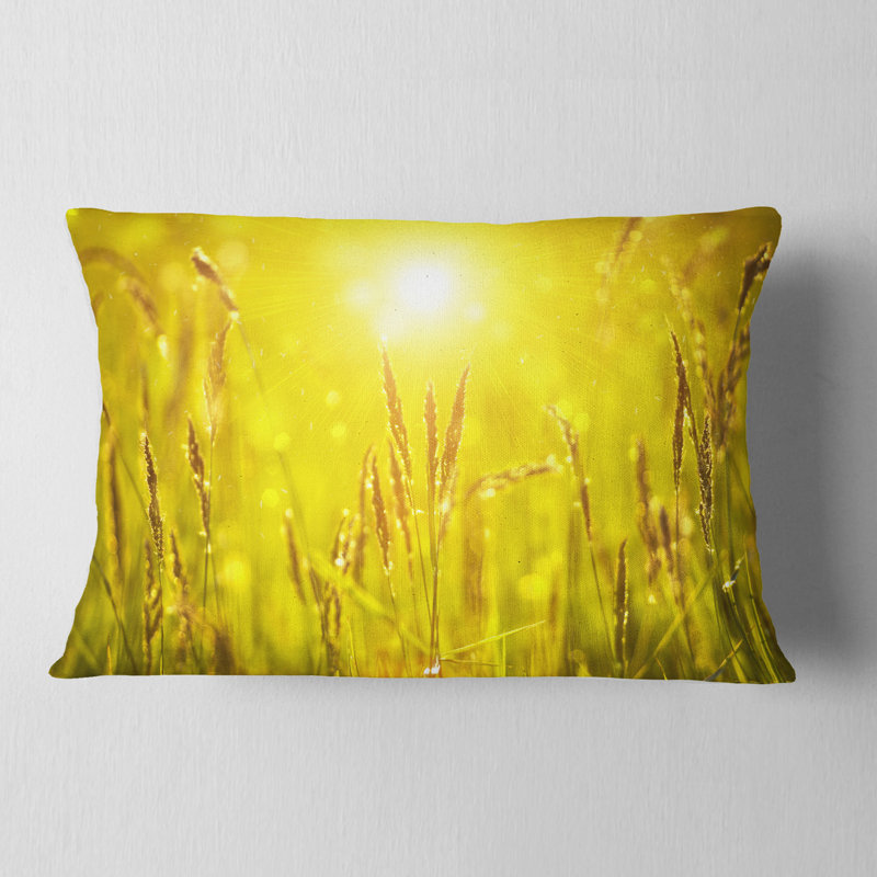 Coussin lombaire herbe au coucher du soleil