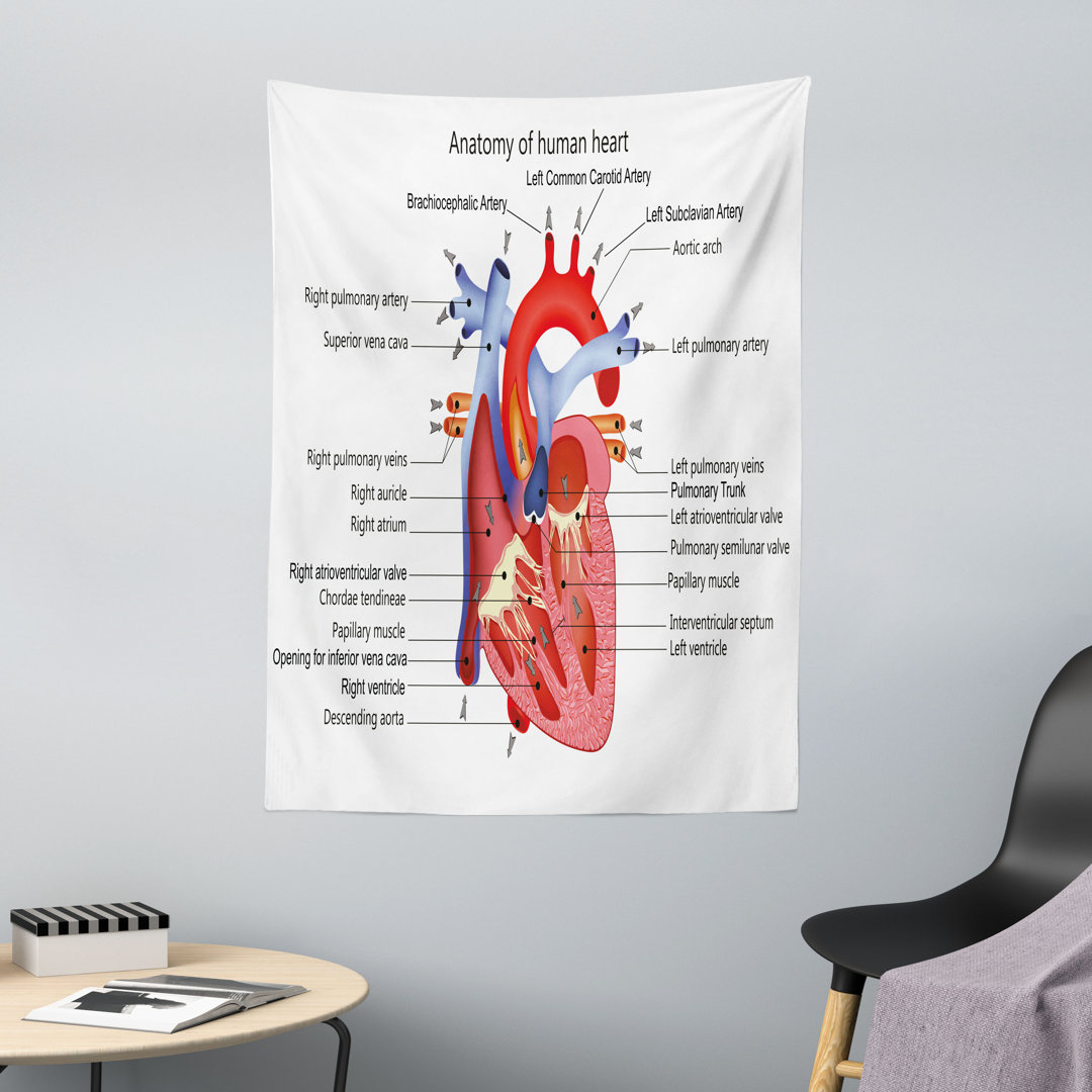 Wandteppich, Organ des menschlichen KÃ¶rpers, Multicolor