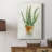 " Succulent IV " Painting Print-590337806