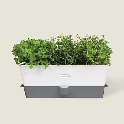 Cole & Mason Plant Trays/ Stands