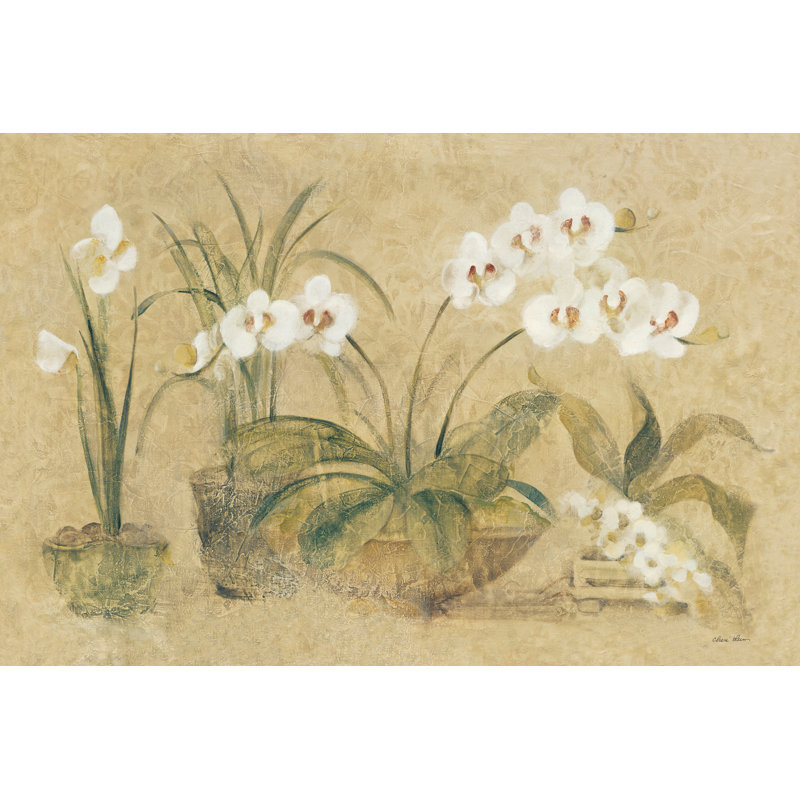 Quatre orchidées en pot par Cheri Blum, Non, Toile avec cadre blanc, H 32 po x l 48 po x P 1,25 po