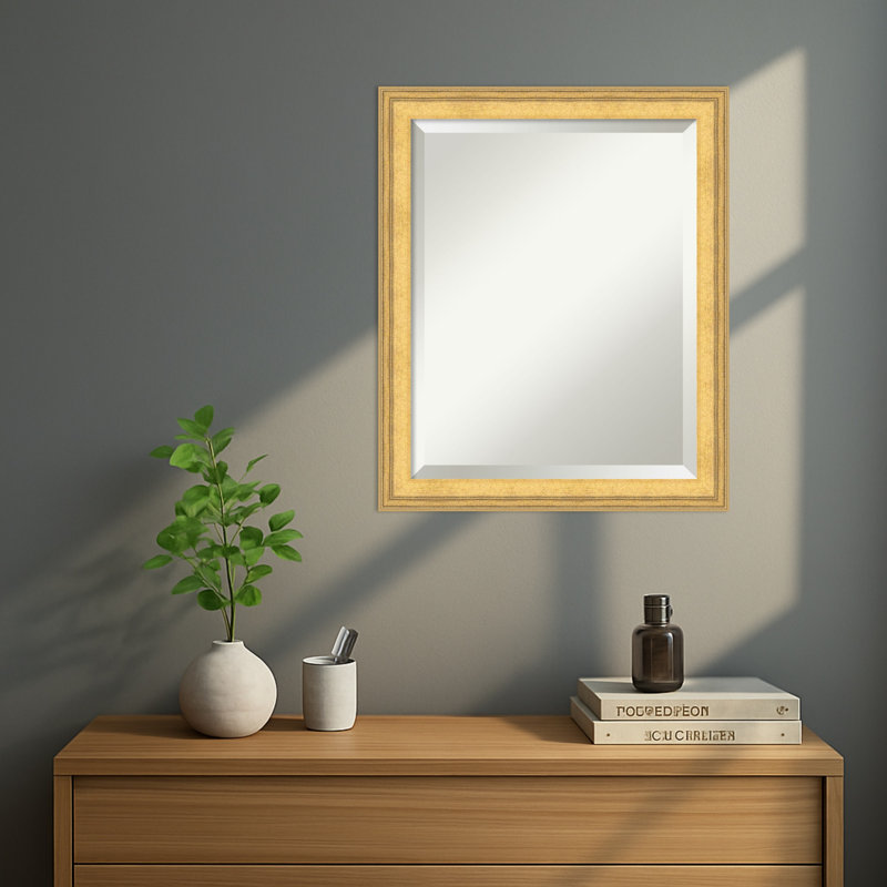 Miroir mural Owen, 23 po x 19 po
