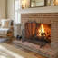 Single Door Iron Fireplace Door