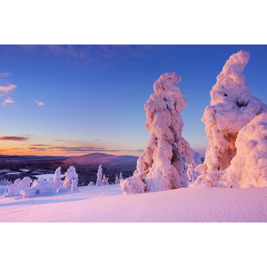 Sonnenuntergang über gefrorenen Bäumen von Sara_winter - Drucken