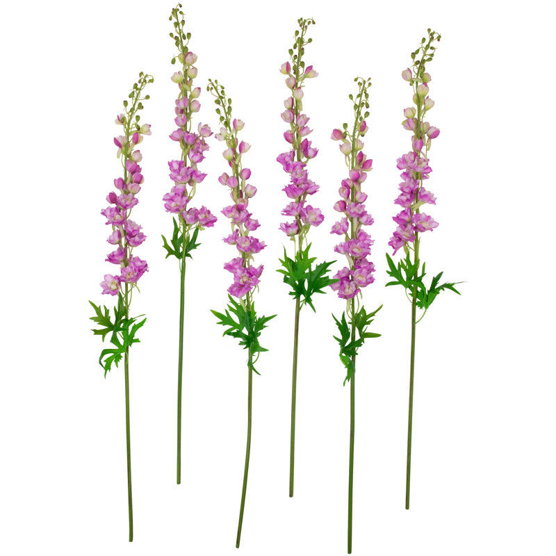 Tiges Delphinium, Rose