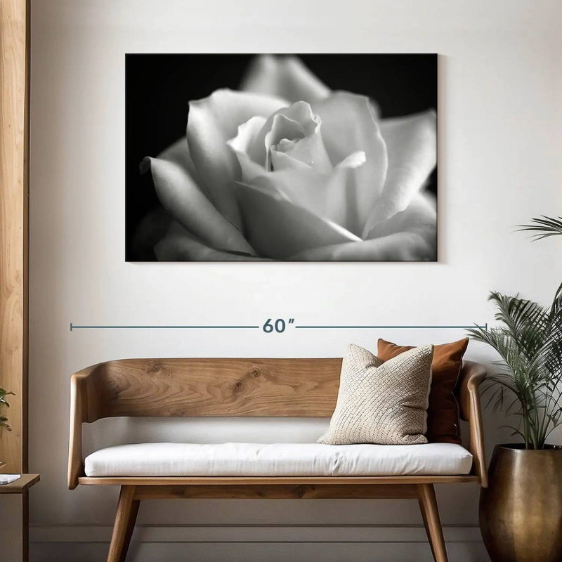 Rose blanche Harnek BW, H 30 po x l 45 po