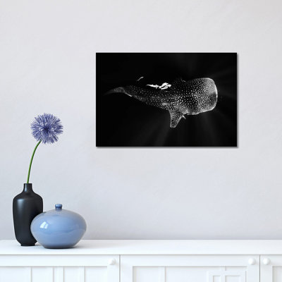 Black And Whale Shark by Barathieu Gabriel - Wrapped Canvas Print