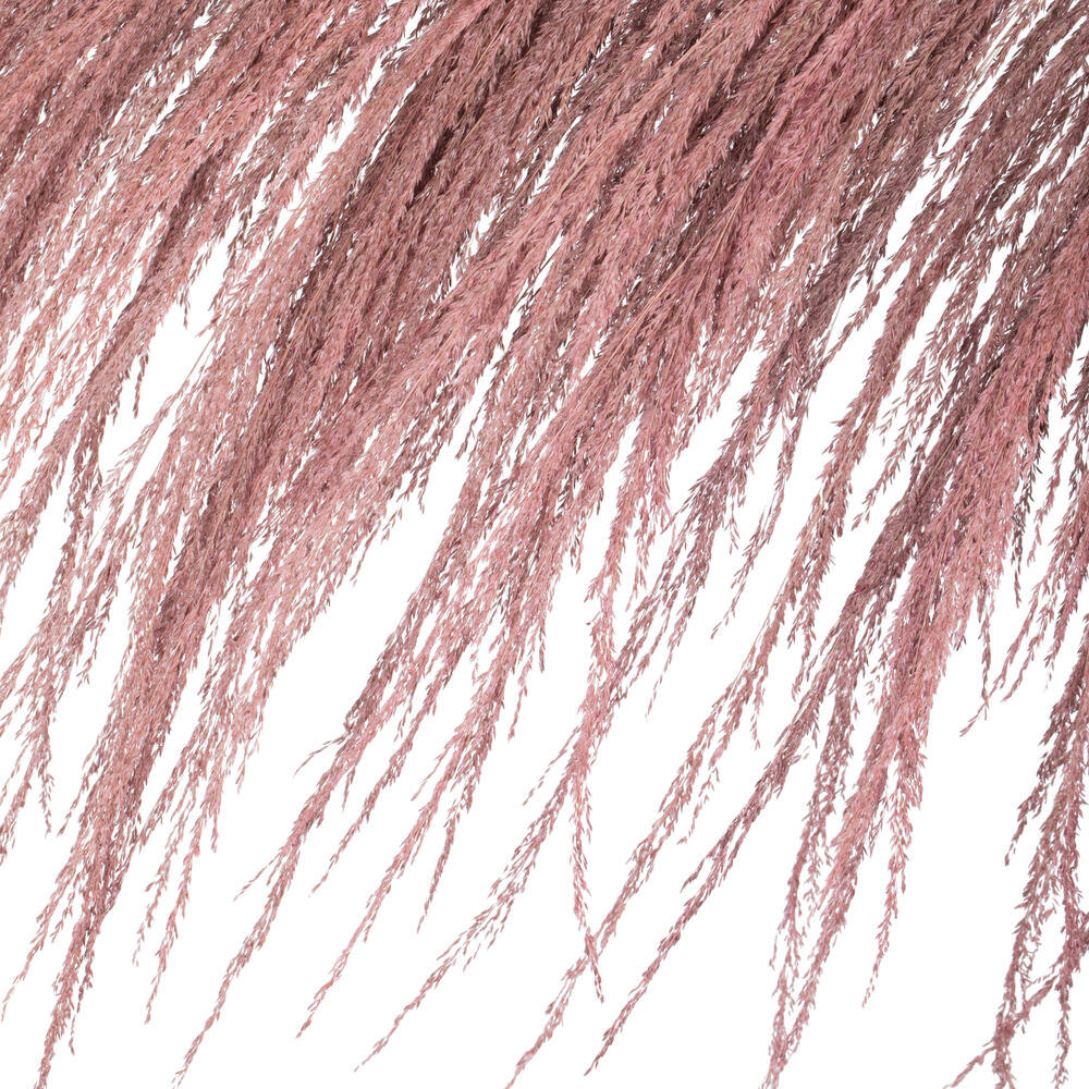 Vickerman Uva Palm Spray 71'' Palm Plant, Dusty Rose