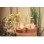 Dart Walnut Lamp with Fairy Light Dart Ornament Valentine Special-1990072916