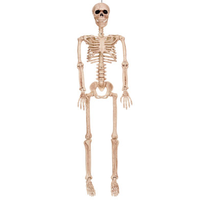 36" Poseable Skeleton Decoration