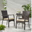 Ensemble de 2 chaises de salle à manger d'extérieur en osier avec coussins pour le jardin
