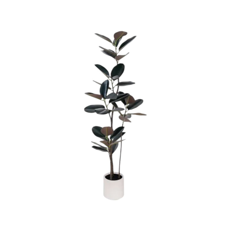 71" Black Artificial Rubber Tree in a White Pot