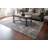 Oriental Indoor Rug