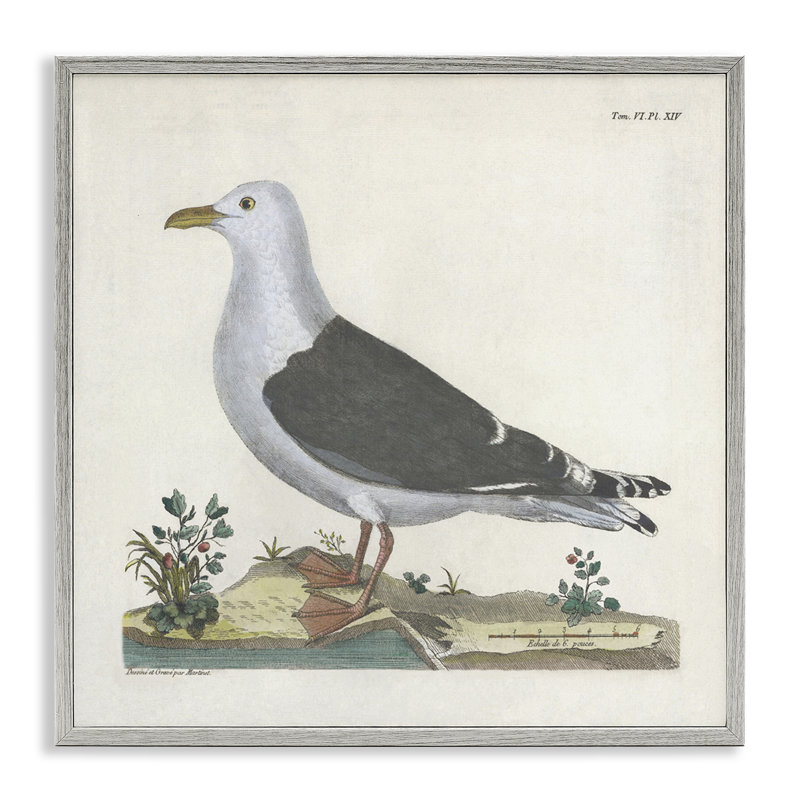 Étude de mouette rétro, giclée, conception par Phillipa Katz, H 24 po x l 24 po, Estampe numérique Farmhouse