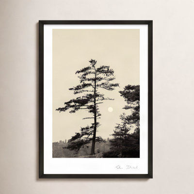 Garden Sign "Serenity" Print by Peter Dušek