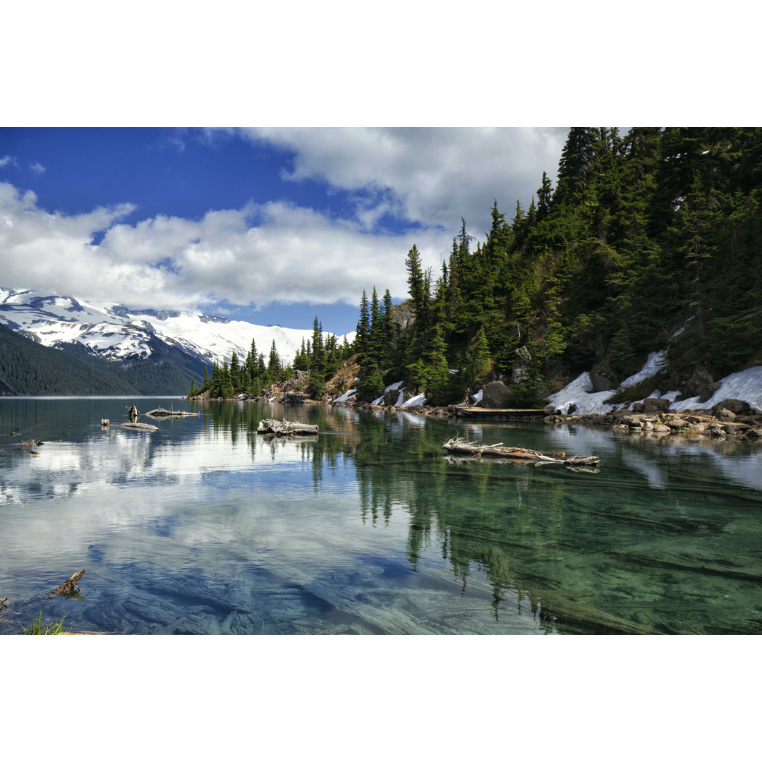 Garibaldi Lake In Summer von LeonU - Leinwandbild