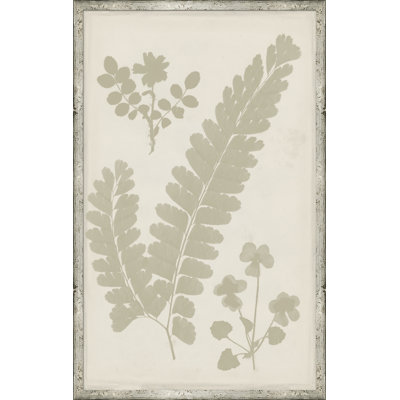 Ghost Herbaria In Celedon Giclee Print