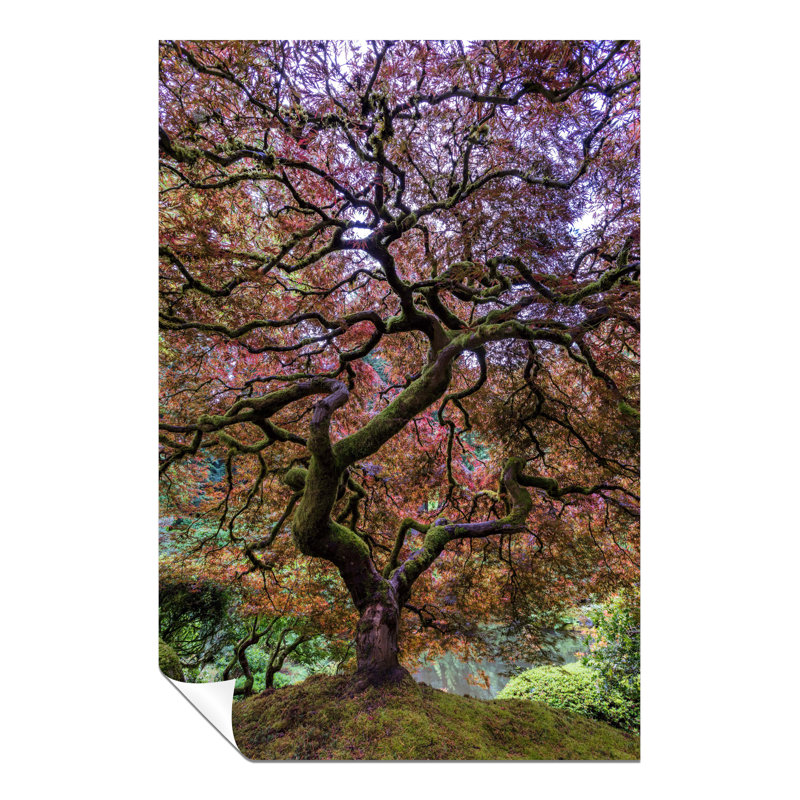 Tall Japanese Maple Tree Yellow Orange Leaves - No Frame Print, 31cm H x 20cm W