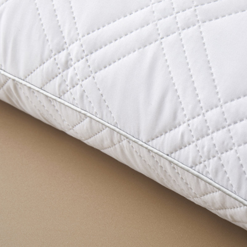 Cotesfield Plush Pillow, 20" H x 30" W