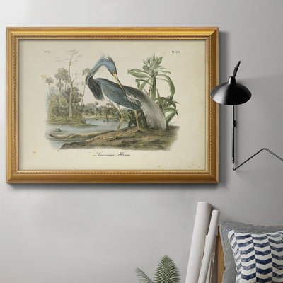 " Audubons Louisiana Heron " Painting Print