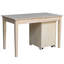 Fransico Solid Wood Writing Desk-1719633231