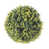 Green/Lime is out of stock