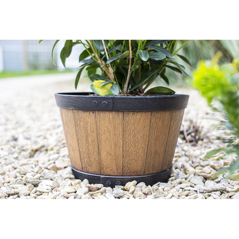 Oban Whiskey Barrel, Light Oak, 20cm H x 33cm W x 33cm D