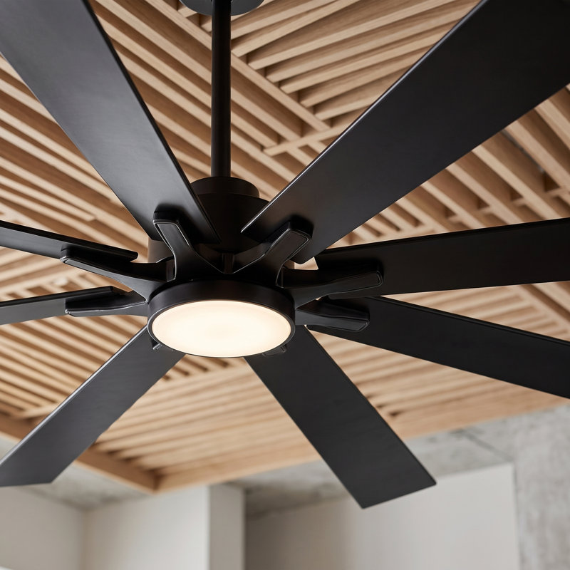 Ceiling Fan