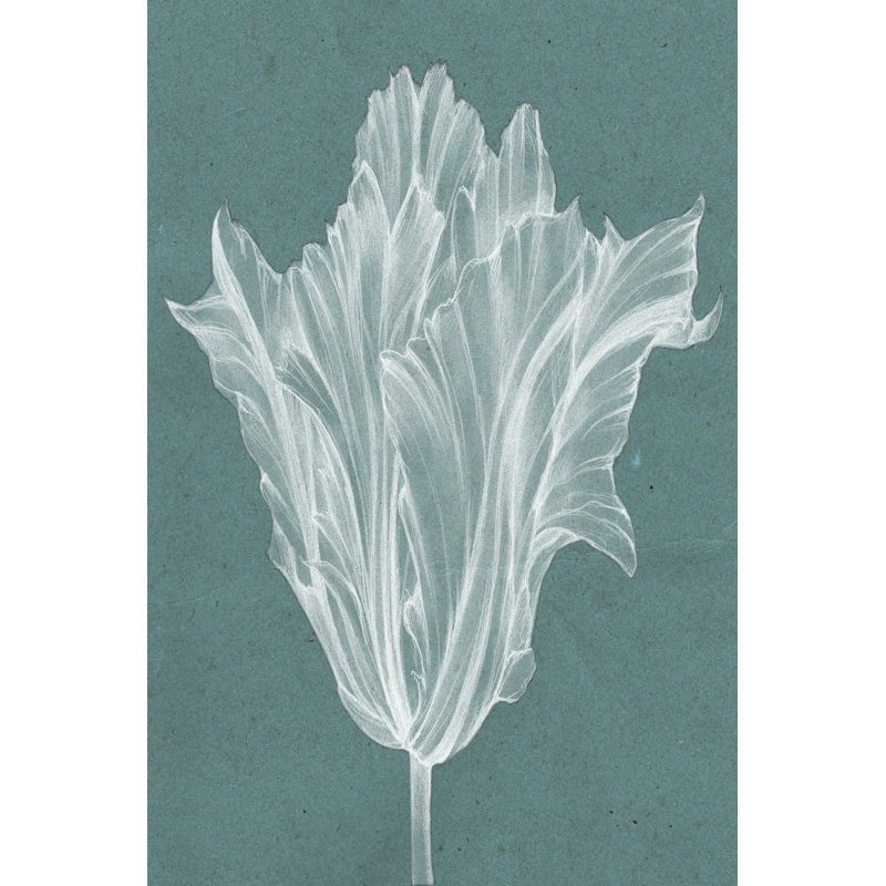 Monochrome Tulip V 1 Piece Wrapped Canvas Wall Art, 30cm H x 20cm W