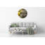 Jonesii Glass Wall Clock