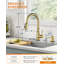 WOWOW Pull Out Kitchen Faucet with Soap Dispenser-86135130