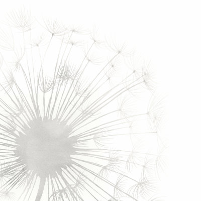 " Dandelion Whisper I " by Grace Popp Painting Print