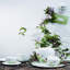Brillance Fleurs Sauvages Bone China Teacup
