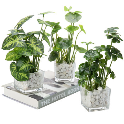 24cm Faux Foliage Plant in Glass Vase